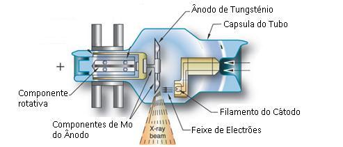 Figura 2.1 Representação esquemática do tubo de raio-x (à esquerda).