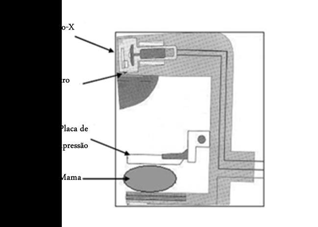 Figura 2.13 Esquema representativo de um equipamento de Mamografia. Adaptado de (33) 2.3.1 Dose Média Glandular (MGD) Um dos primeiros métodos de cálculo da MGD foi publicado por X.