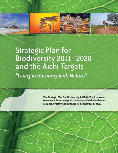 AICHI-NAGOYA CBD COP 10 - Plano Estratégico para a Biodiversidade 2011-2020 20 objectivos orientados para questões consideradas prioritárias, tais como: Assegurar que os valores da biodiversidade são