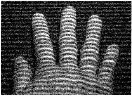 Avaliação de desempenho dos métodos biométricos: Lay,1999 Dorso da mão Captura através de uma grade paralela projetada por uma lâmpada fluorescente, Inclinação de 45º A sombra da grade é deformada