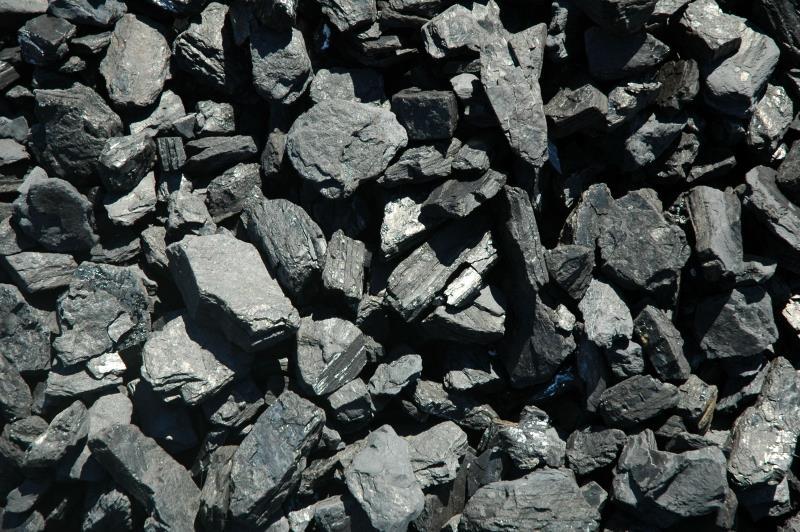 CARVÃO MINERAL O carvão é considerado um combustível fóssil, porque as jazidas desse minério se formaram há milhões de anos, quando extensas florestas foram submersas, fazendo com que os restos