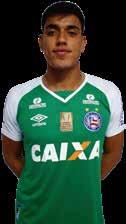 1 - Douglas LATERAIS 15/07/1996 1,80m - 78kg 13J-00G Chapecoense-SC 32 - Fernando 10/06/2000 1,70m - 66kg 01J-00G Em 2013, o tricolor disputou pela segunda vez a Copa Sul-Americana.