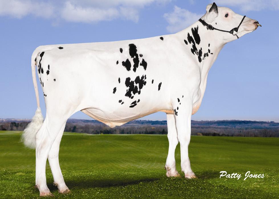 Confira MB-86 Observer x EX-90 Shottle x EX-91 Allen x EX-90 Durham x EX-93 Charles x EX-94 Blackstar x Ex-92 Valiant x EX-91 Matt Carlo x EX-91 Atlas!