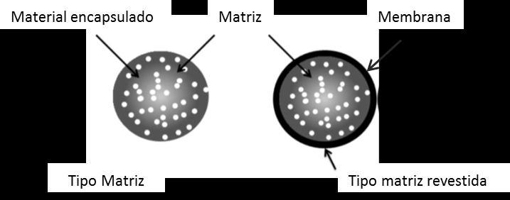 29 Figura 1 Representação esquemática dos tipos de microcápsulas Adaptado de Burgain et al. (2011) 2.5.