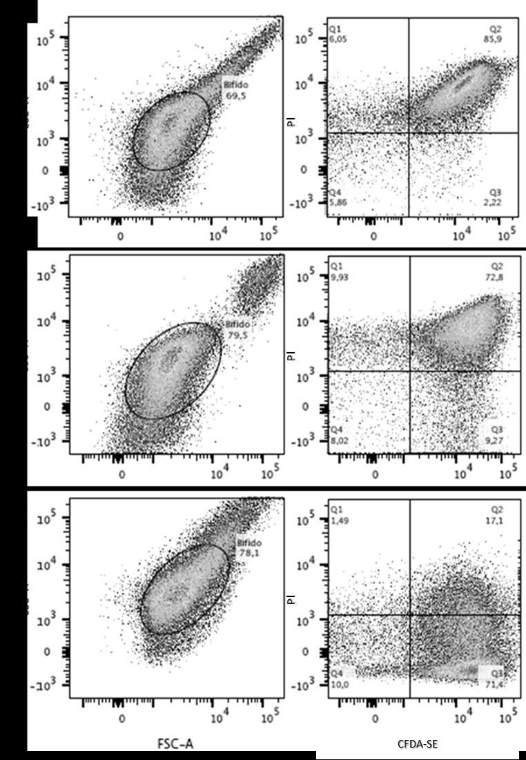 79 Figura 16 Gráfico de pontos após marcação dupla com PI (iodeto de propídio) e CFDA-SE (carboxifluoresceína diacetato succinimidil ester) das células liberadas das microcápsulas de (A) Quitosana,