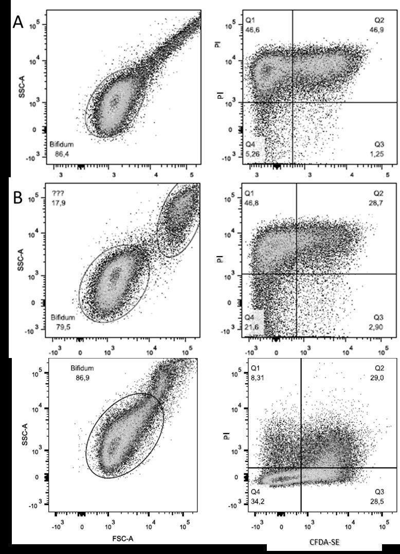 82 C Figura 18 Gráfico de pontos após marcação dupla com PI (iodeto de propídio) e CFDA-SE (carboxifluoresceína diacetato succinimidil ester) das células liberadas das microcápsulas de (A) Quitosana,