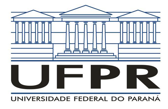 EDITAL Nº 01/2018- SUPERINTENDÊNCIA DE INCLUSÃO, POLÍTICAS AFIRMATIVAS E DIVERSIDADE PARA BOLSAS PIBIS 2018 PROGRAMA INSTITUCIONAL DE APOIO À INCLUSÃO SOCIAL, PESQUISA E EXTENSÃO UNIVERSITÁRIA