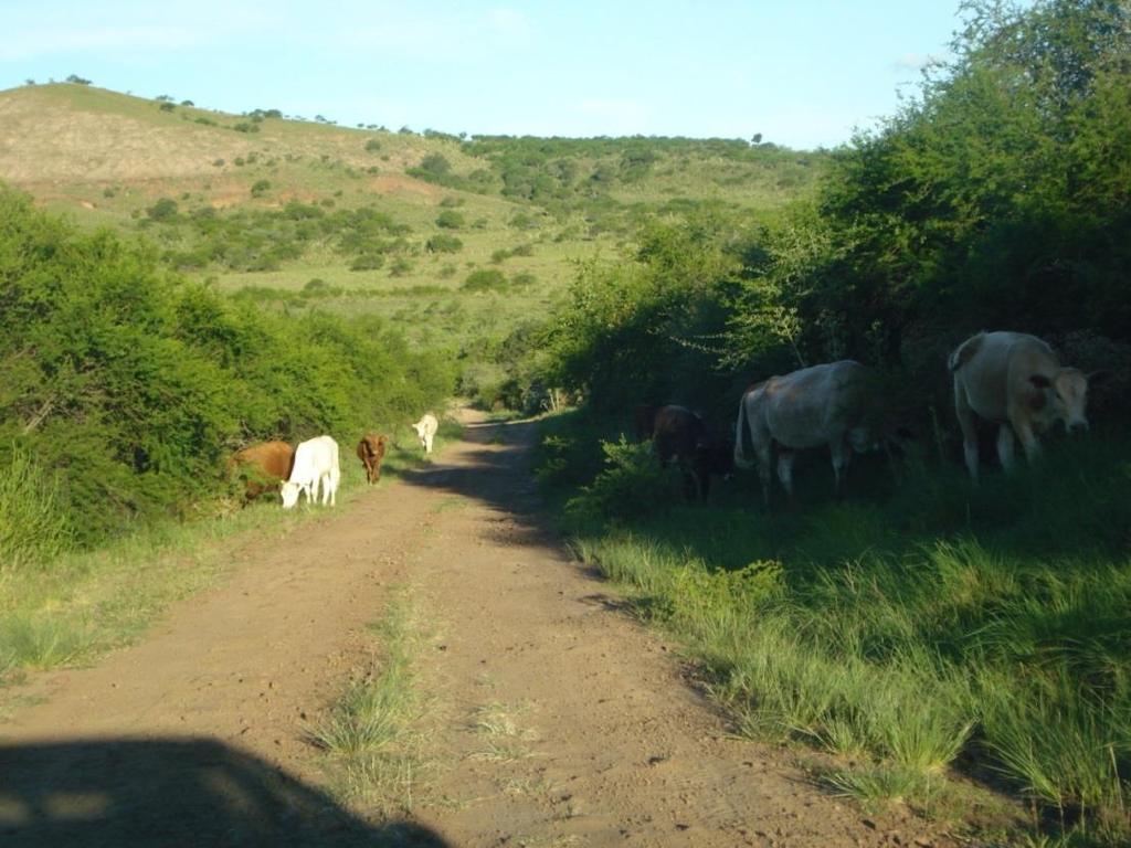 adequada; Visar o equilíbrio ecológico; Garantia de saúde; Qualidade de