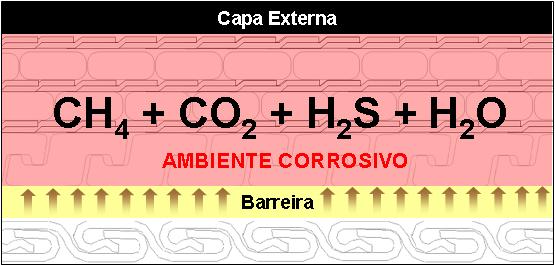 20 II.5.1 Espaço Anular É definido como sendo o volume do duto flexível representado entre a sua camada mais interna (carcaça) e a mais externa (capa externa).