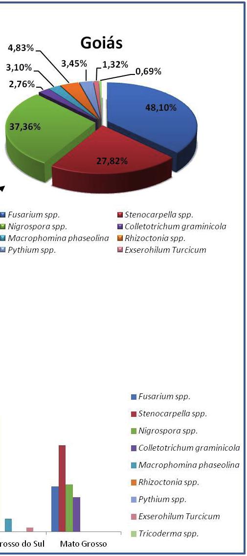 Para Stenocarpella spp., 10 cultivares apresentaram frequência nos isolamentos superior a 30%. Para seis cultivares, a incidência deste patógeno ficou entre 20 e 30%.