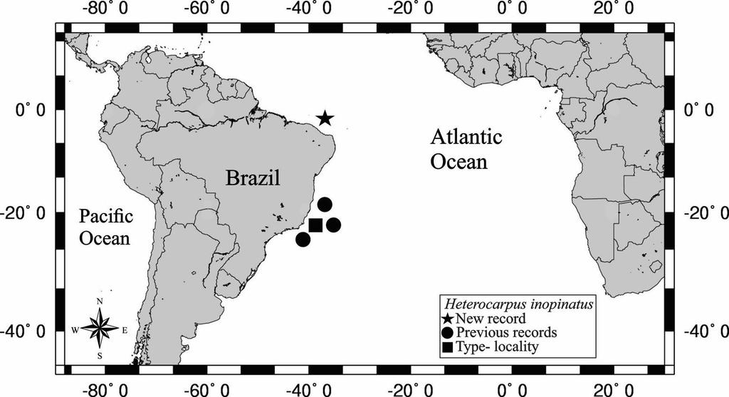 Type-locality. Western Atlantic: Brazil, Espírito Santo (19 38 S, 038 43 W), 960 m deep. Distribution. Brazil: Ceará, Rio Grande do Norte, Bahia, Espírito Santo and Rio de Janeiro (Fig. 2).