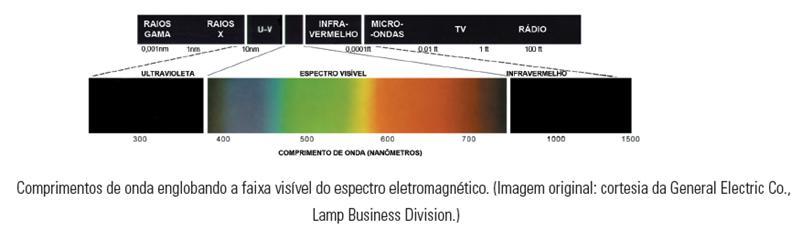 Definições Basicamente, as cores percebidas pelos humanos e outros