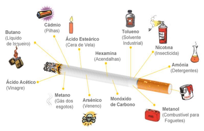 O tabaco é uma planta anual que pode atingir os 2 metros, caracterizada pelas folhas verdes de elevado tamanho. As folhas são ricas em glúcidos (40%), proteínas e ácidos orgânicos (15-20%) [34].