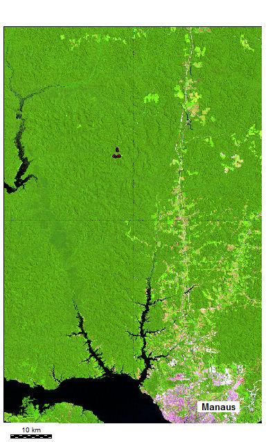 2. Metodologia A área de estudo esta localizada na Estação Experimental de Silvicultura Tropical do Instituto Nacional de Pesquisas da Amazônia (EEST-INPA), núcleo denominado ZF-2 (Figura 1).