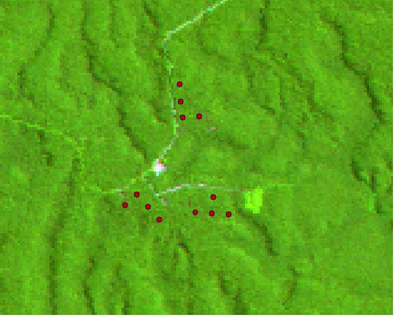 02º 38 de latitude S e 60º 09 a 60º 11 de longitude O (Radam-Brasil, 1978). A área do projeto BIONTE (Biomassa e Nutrientes Florestais) esta localizada entre os km 21 a 24 da estrada secundária ZF-2.