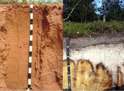 Classificação dos solos Quanto a origem: Eluviais ou Zonais: Quando o solo se forma a partir do intemperismo local, ou seja, decomposição da rocha matriz local.