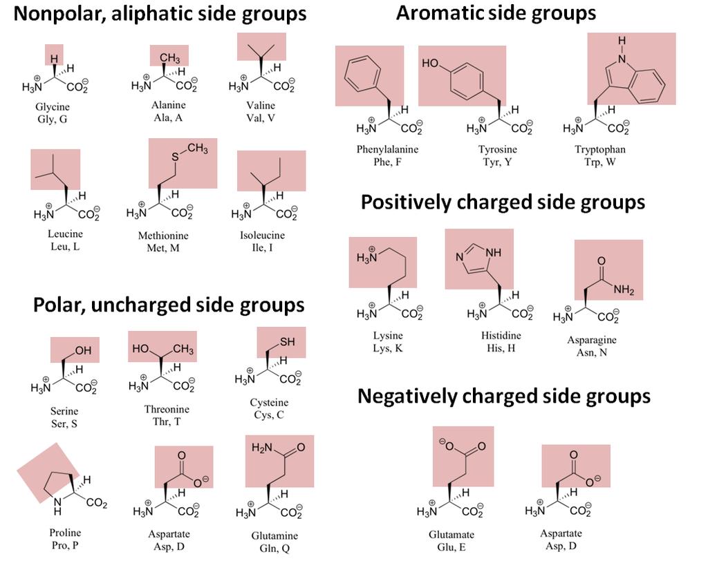 Estereoquímica