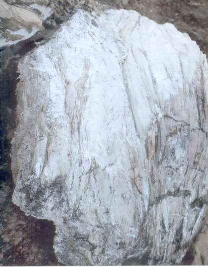 exposta Pedaços de rocha com amianto in natura presentes no terreno da mina.