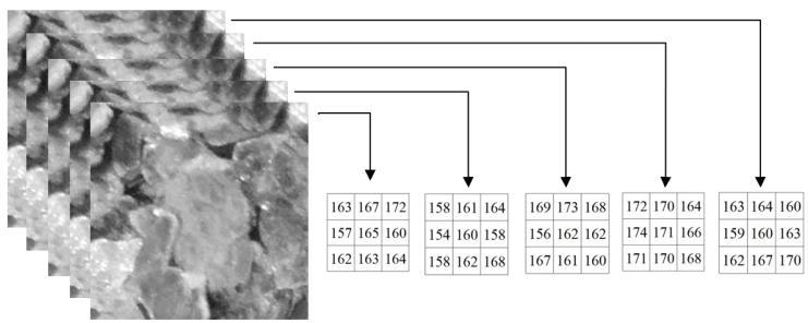 8 possível gerar 3 =656 códigos que caracterizam determinados micropadrões 3 x 3 da imagem.