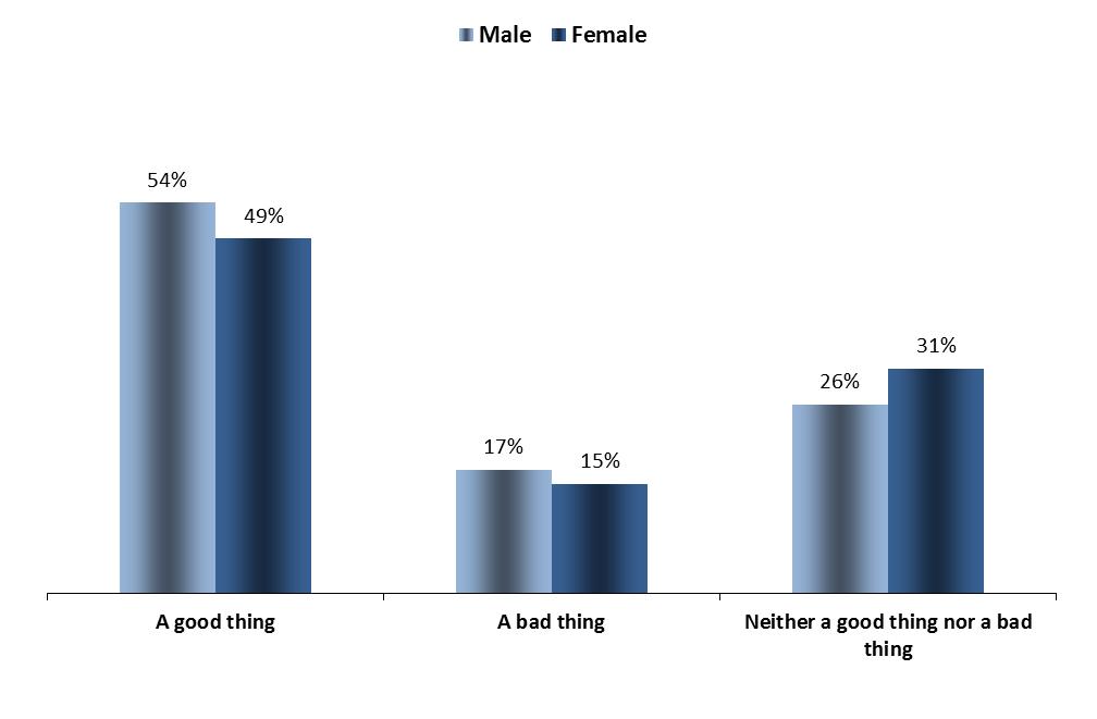 Gender ATTITUDES TOWARDS EUROPE FOCUS ON GENDER 1.