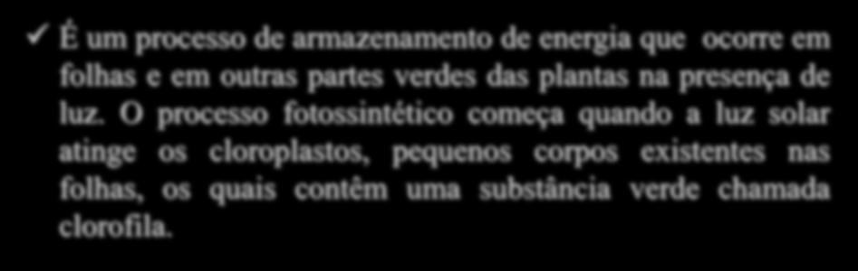 Fotossíntese É um processo de armazenamento de energia que ocorre em folhas