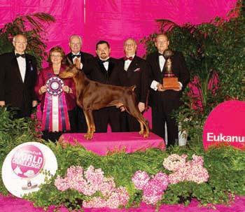 EUKANUBA WORLD CHALLENGE ESTE GRANDE evento mundial, cada vez mais concorrido e popular, que teve lugar em Long Beach, Califórnia,