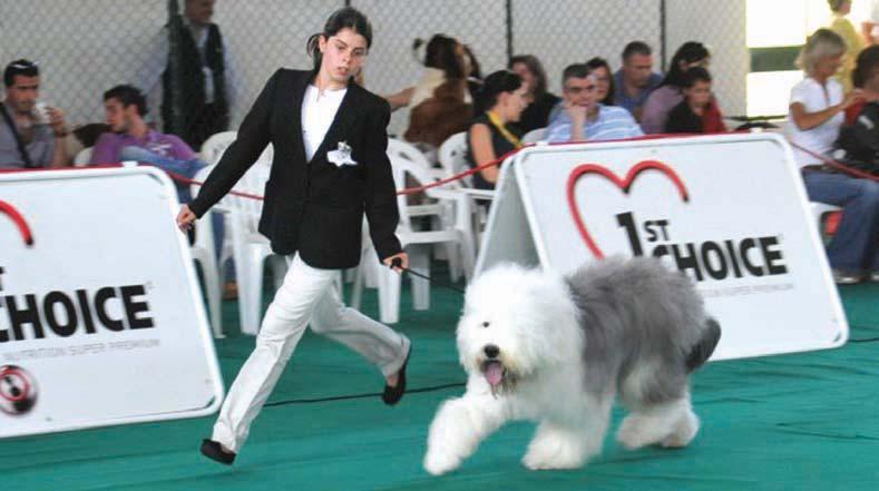 .49 RANKING DE EXPOSIÇÕES CANINAS NACIONAIS E INTERNACIONAIS A SEGUIR apresenta-se o Ranking de Exposições Caninas Nacionais e Internacionais (pelo número de presenças) Exposição Inscritos Presentes