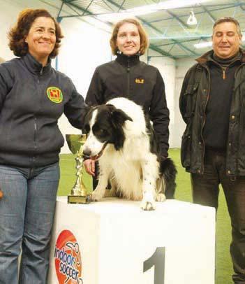 Foram organizadas 4 provas do calendário de 2010 todas integradas em exposições caninas, nomeadamente: a 1.ª prova do Campeonato Nacional de Obediência O troféu Fernando Galhoz, no Porto; a 5.