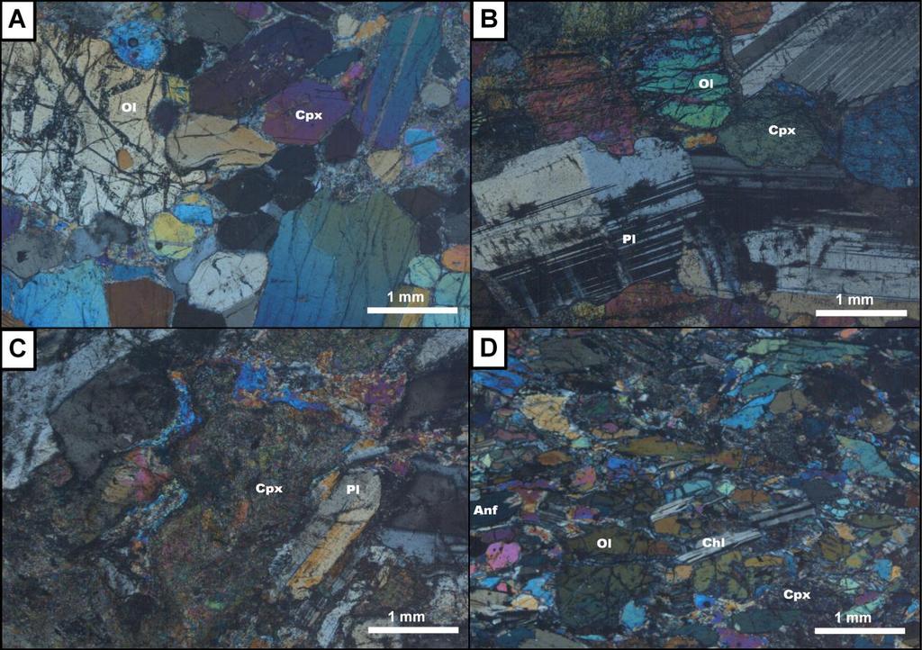 Figure 2.5. Photomicrographs of representative rocks of the Touro Complex. A) Serpentinized olivine-clinopyroxenite of the UZ.
