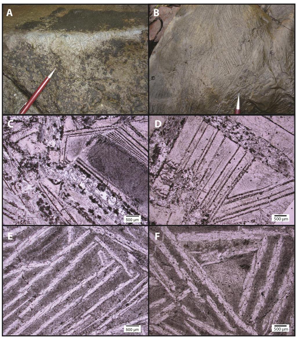 Figure 3.5. Photos from komatiites of the Seringa greenstone belt. A) Komatiite with random spinifex texture. B) Komatiite with centimeter-scale platy spinifex texture.