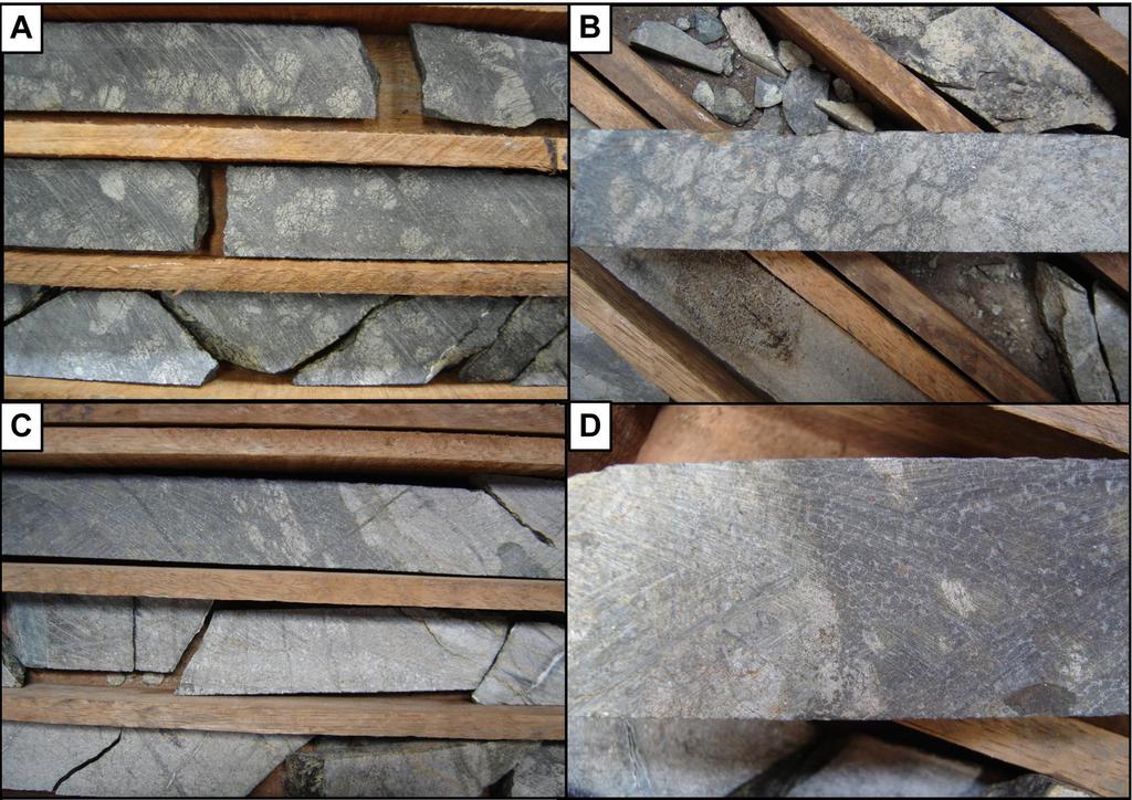 Figure 1.6. A) Oikocrysts of orthopyroxene in harzburgite of the LZa (DDH-25). B) Gradational contact of harzburgite and orthopyroxenite from the LZa (DDH-14).