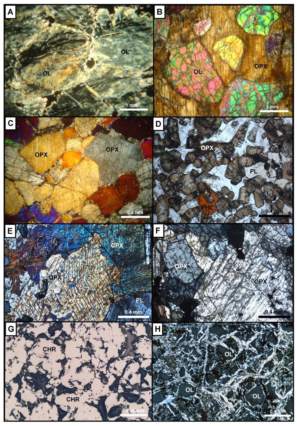 Figure 1.7. Photomicrographs of representative rocks of the Vermelho Complex. A) Serpentinized dunite of the LZa.