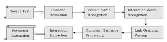 Capítulo 3 - Trabalhos Correlatos 57 3.6 BioPPIExtractor BioPPIExtractor é um sistema de extração de interação proteína-proteína para literatura biomédica desenvolvido por (YANG; LIN; WU, 2009).