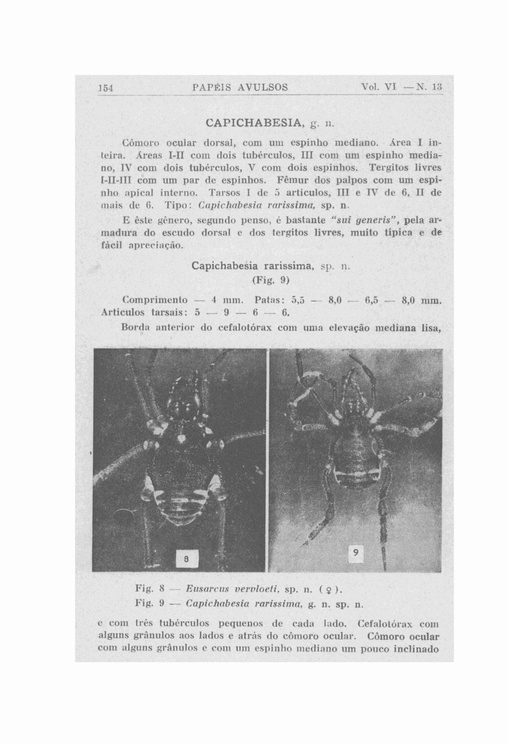 I j.! PXPEIS AVULSOS Yol. VI - K. 1:: - - - - -- -- - - - CAPICHABESIA, g. 11 COnioio ocular tlorsal, coni iiiii espiiilio iiicdiano..irra I in- Irira.