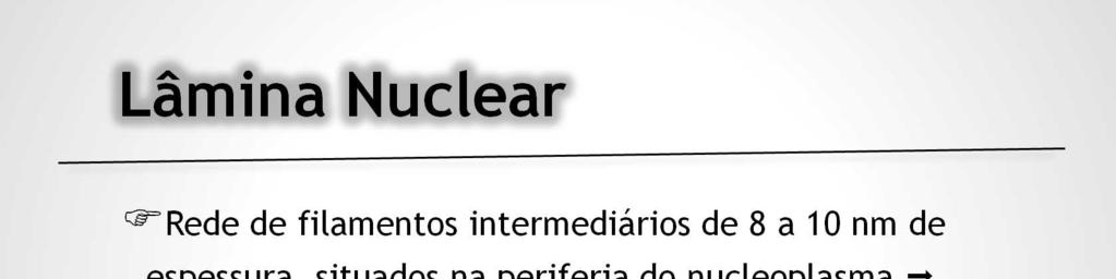 Associada à superfície interna do envoltório nuclear encontra-se a lâmina nuclear, uma rede fibrosa com 10-20 nm de espessura. A lâmina nuclear se interrompe nos poros nucleares.