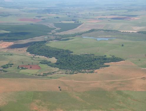 A maior resistência dos arenitos também pode ocorrer junto às linhas de falhas, onde estes arenitos aparecem silicificados ou com maior resistência aos processos de dinâmica superficial, que os torna