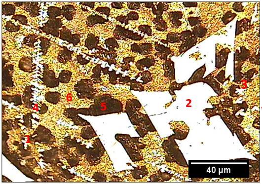 Figura 4.14: Microestrutura obtida em microscópio ótico com aumento de 100x da Liga Al-9%Ni a 3 mm da chapa-molde.