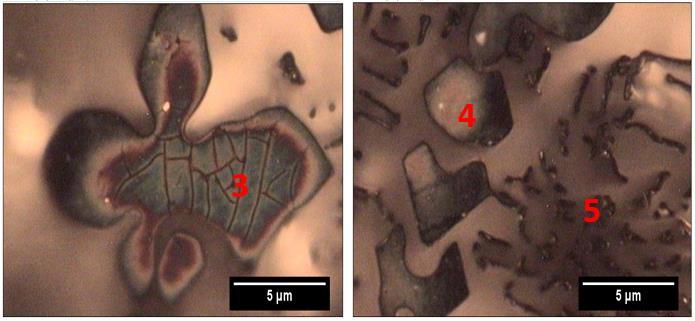 Figura 4.15: Fases Primárias de Al3Ni, obtidas via microscopia ótica com aumento de 1000x. Figura 4.
