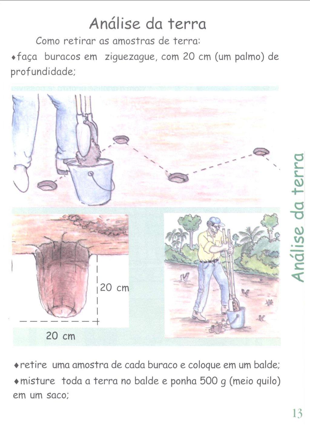 Análise da terra Como retirar as amostras de terra: faça buracos em ziguezague, com 20 cm (um palmo) de profundidade; - - - - - - - - (' S-