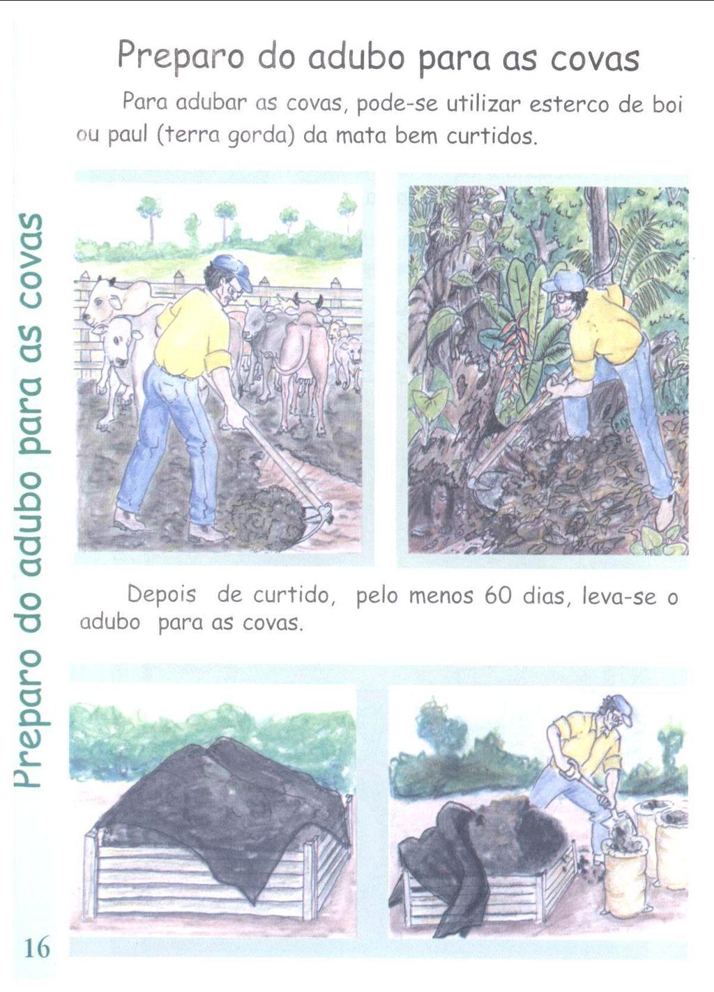 Preparo do adubo para as covas Para adubar as covas, pode-se utilizar esterco de boi ou paul (terra gorda) da mata bem curtidos.
