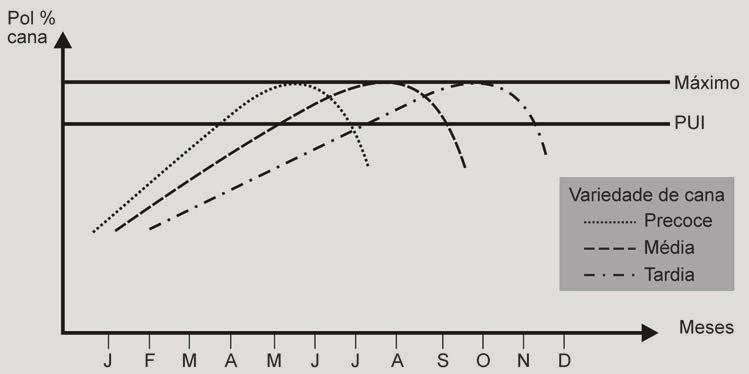 2.12 Curva de maturação da cana A cana-de-açúcar durante seu ciclo vegetativo atravessa normalmente dois períodos distintos com relação à formação de sacarose.