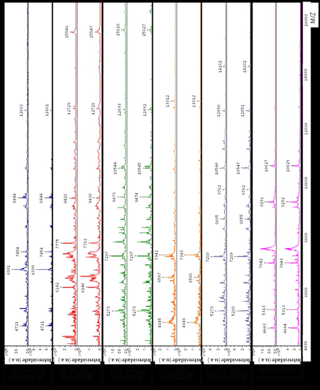 Figura 17: Espectros de massa MALDI-TOF das réplicas dos isolados de Acidobacteria crescidas em meio sólido e adquiridos em modo linear positivo.