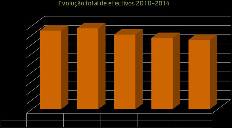 6. Caracterização dos Trabalhadores 6.