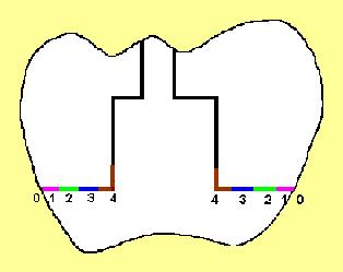 46 Figura 2 - Escala de avaliação (graus de infiltração): 0 = nenhuma infiltração; 1 = infiltração em esmalte; 2 = infiltração em 1/3 da parede gengival em dentina; 3 = infiltração em 2/3 da parede