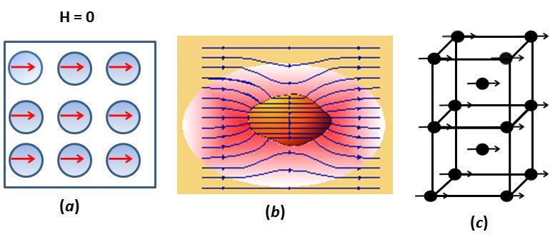 Figura 2.12: (a) Configuração de dipolo atômico para um material ferromagnético na ausência de campo externo aplicado (b) Comportamento de um material ferromagnético na presença de um campo.