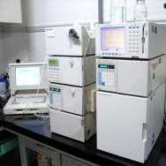 Toxinas: Quantificação - HPLC Tabela: Quantificação das fitotoxinas Isolado Streptomyces spp. (IBSBF) g toxina / ml meio Concanamicinas Taxtomina A A B A + B 2501 5,3 9,1 14,4 a* 17,7 a 1.