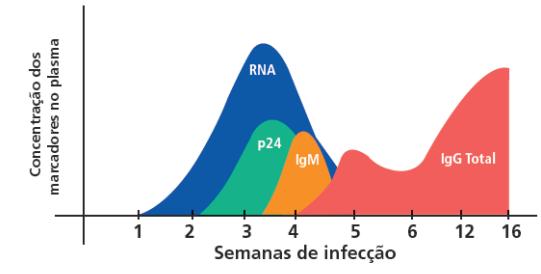 22 Figura 2: Marcadores da infecção por HIV de acordo com a evolução em semanas. Fonte: Manual Técnico para o Diagnóstico da Infecção pelo HIV, Brasil,2013.