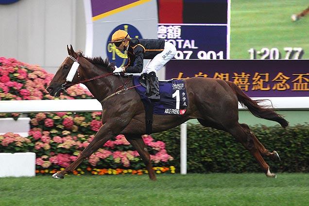 Clássico Otoño (L - 1600m Maroñas- JOÃO MOREIRA Jóquei de: Able Friend-Aus (m, 5, Pai: Shamardal-USA e Ponte Piccolo-NZ, por Volksraad-GB) 1º.