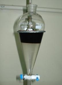 Obtenção de novos antioxidantes aplicados no biodiesel 29 Figura 12 Separação das fases. A mistura foi levada para um evaporador rotativo de modo a evaporar o CHCl 3.