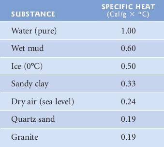 Calor específico Quantidade de calor absorvido por unidade de massa Quantidade de calor necessário para elevar em 1 o C a massa de 1 g de uma substância A água possui uma grande capacidade de